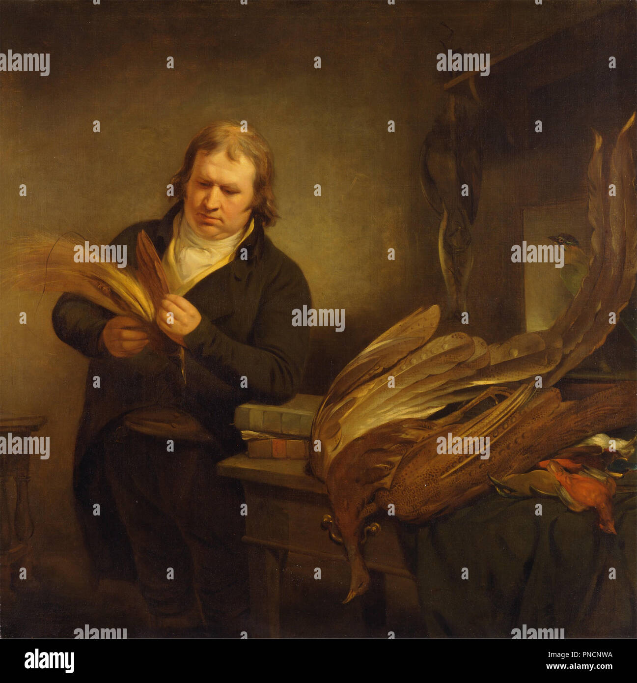 Un ornitologo. Data/Periodo: 1802. La pittura. Olio su tela. Altezza: 147,3 cm (57,9 in); larghezza: 147,3 cm (57,9 in). Autore: Ramsay Richard Reinagle. Foto Stock Un ornitologo. Data/Periodo: 1802. La pittura. Olio su tela. Altezza: 147,3 cm (57,9 in); larghezza: 147,3 cm (57,9 in). Autore: Ramsay Richard Reinagle. Foto Stock