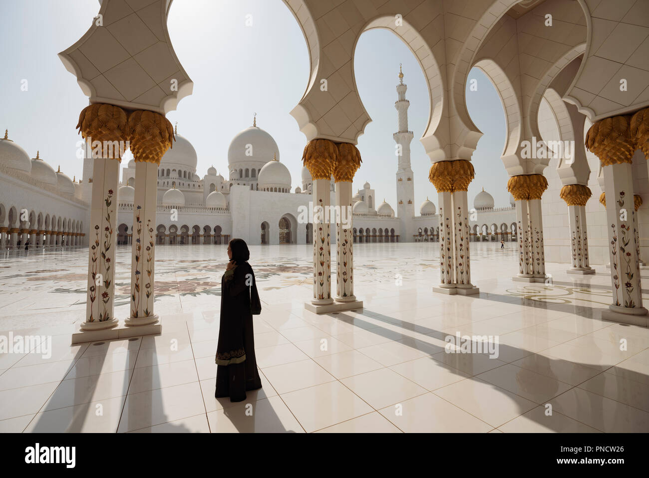 Esterno della Sheikh Zayed Grande Moschea di Abu Dhabi, Emirati Arabi Uniti, Emirati arabi uniti Foto Stock