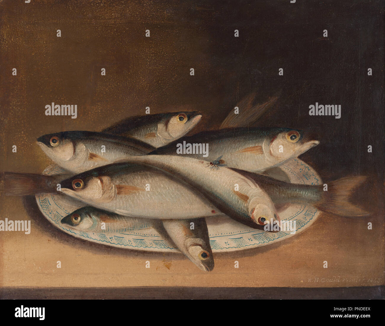 Sul pesce azzurro e bianco piastra. Data/Periodo: 1845. Pittura,olio su tela. Altezza: 203 mm (7,99 in); larghezza: 305 mm (12 in). Author: William Buelow GOULD. Foto Stock