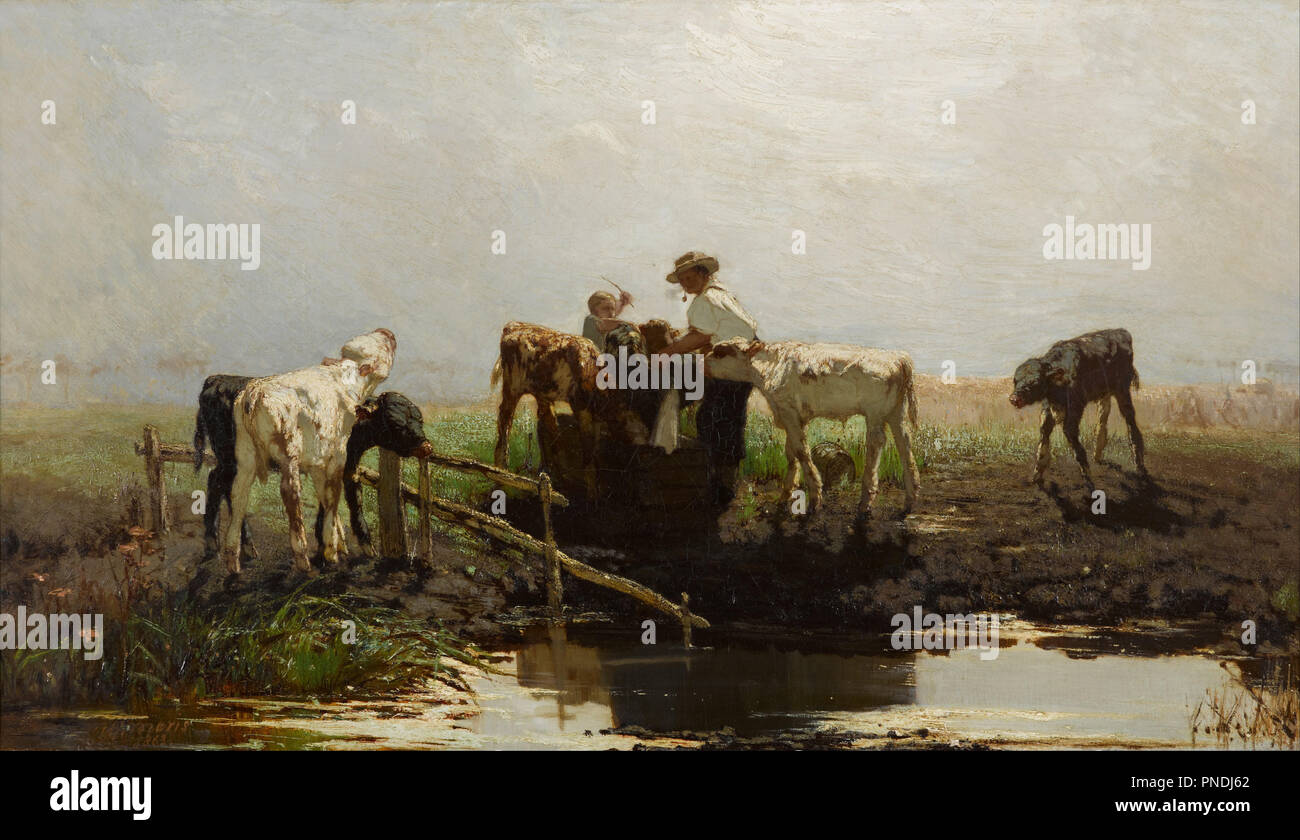 I vitelli in un trogolo. Data/Periodo: 1863. La pittura. Olio su tela. Altezza: 675 mm (26.57 in); larghezza: 939 mm (36.96 in). Autore: Willem Maris. MARIS, WILLEM. Foto Stock
