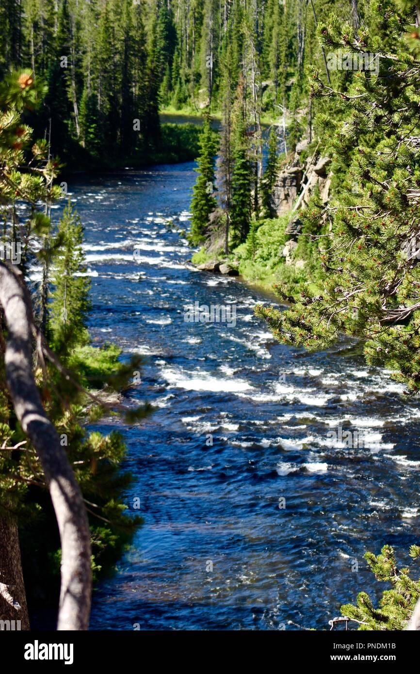 Lewis rapide del fiume a sud di Lewis scende il Parco Nazionale di Yellowstone Wyoming USA Foto Stock