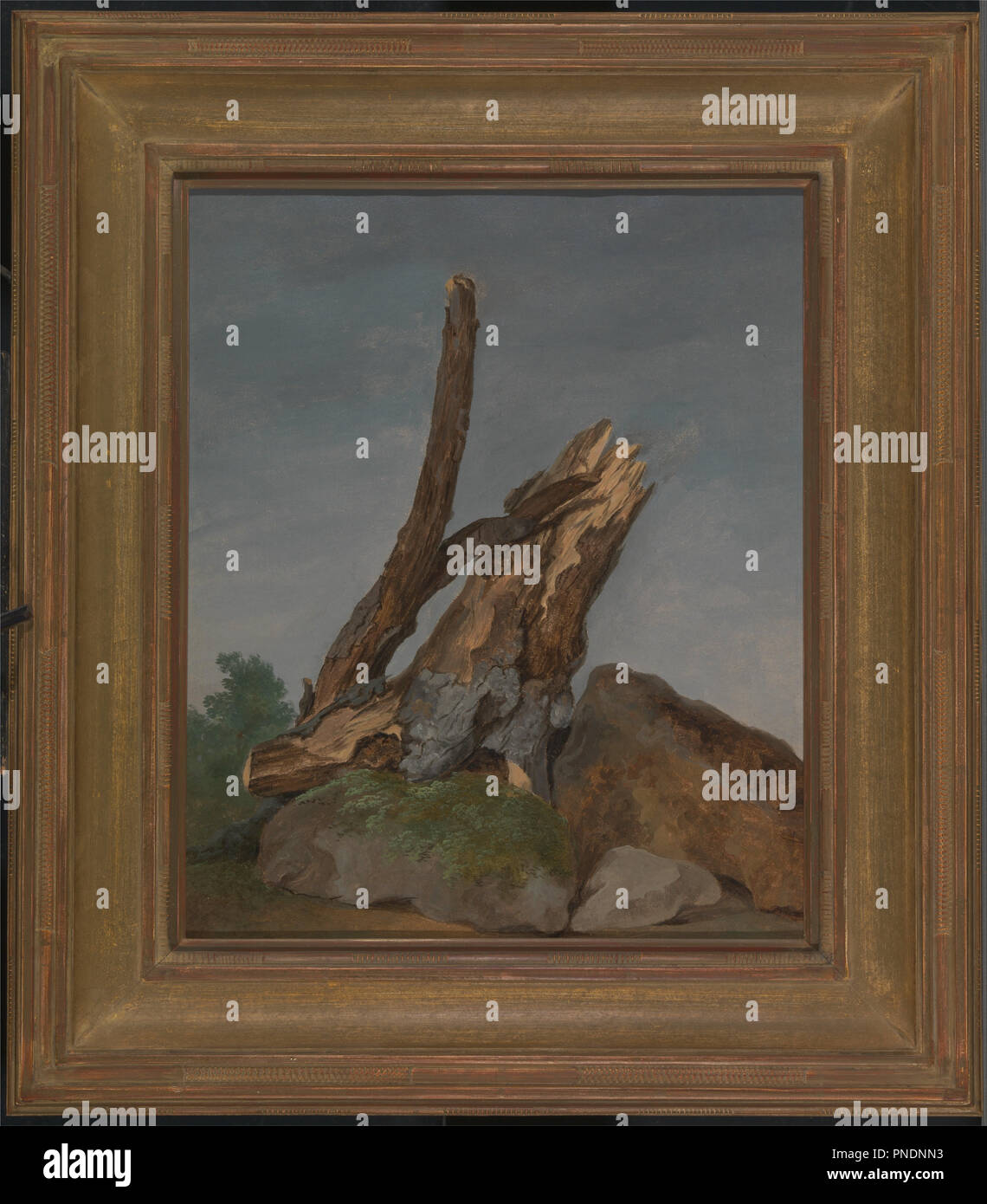 Studio delle rocce e rami. Data/Periodo: ca. 1795. La pittura. Olio su carta. Altezza: 419 mm (16.49 in); larghezza: 349 mm (13.74 in). Autore: George Augustus Wallis. Foto Stock