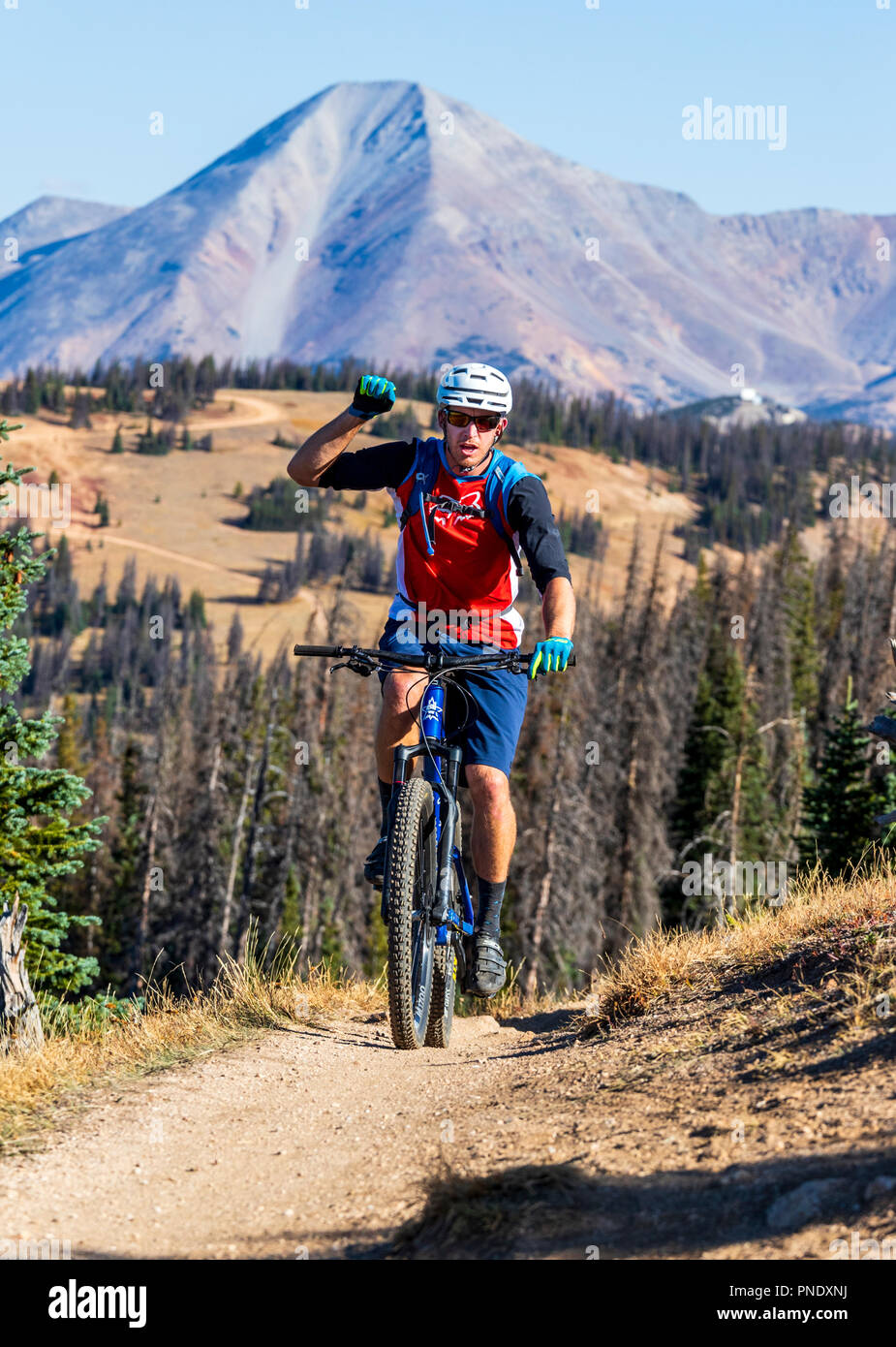 Gli amanti della mountain bike sul famoso Monarch Crest Trail, lungo il Continental Divide in Colorado, in sella ad un allevatore di Alleanza Nazionale contro Foto Stock