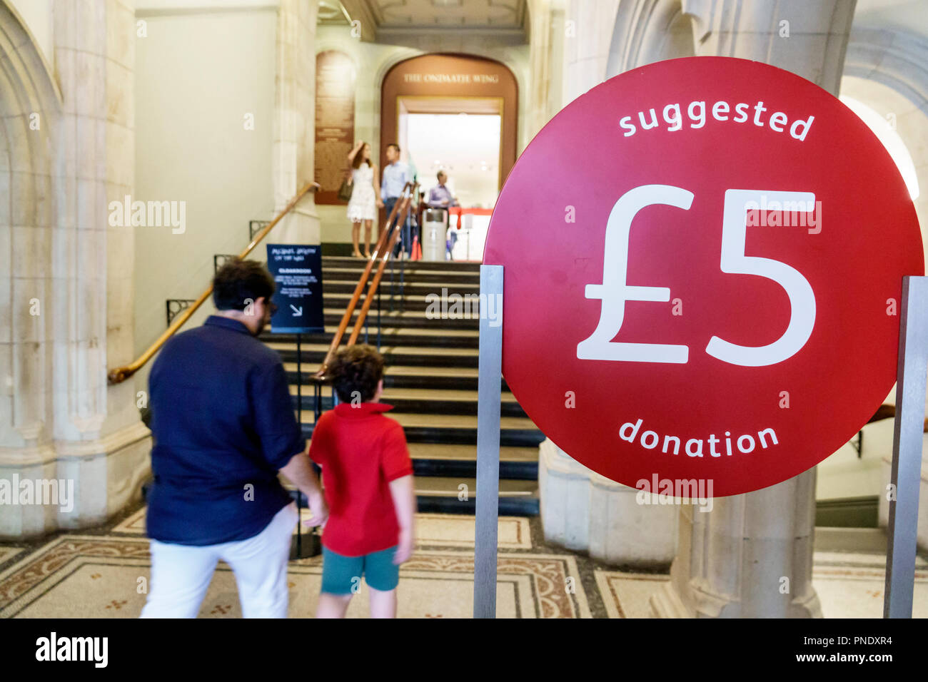 Londra Inghilterra,UK,Covent Garden,National PortraitGallery,museo d'arte,interno,insegna,donazione suggerita,simbolo sterlina,uomo maschio,ragazzo Foto Stock