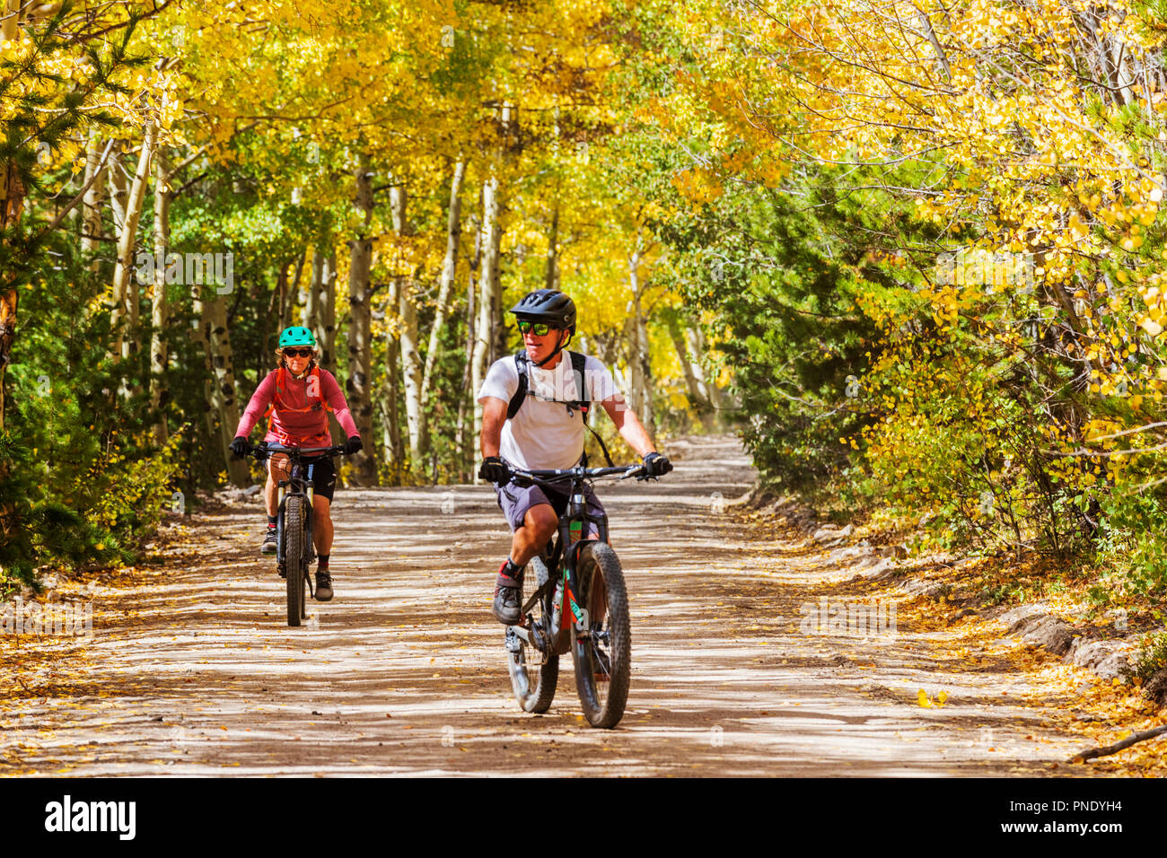 I ciclisti di montagna scendono famoso Monarch Crest Trail su Marshall Pass Road, in sella a un allevatore per l'Alleanza contro l abuso domestico Foto Stock