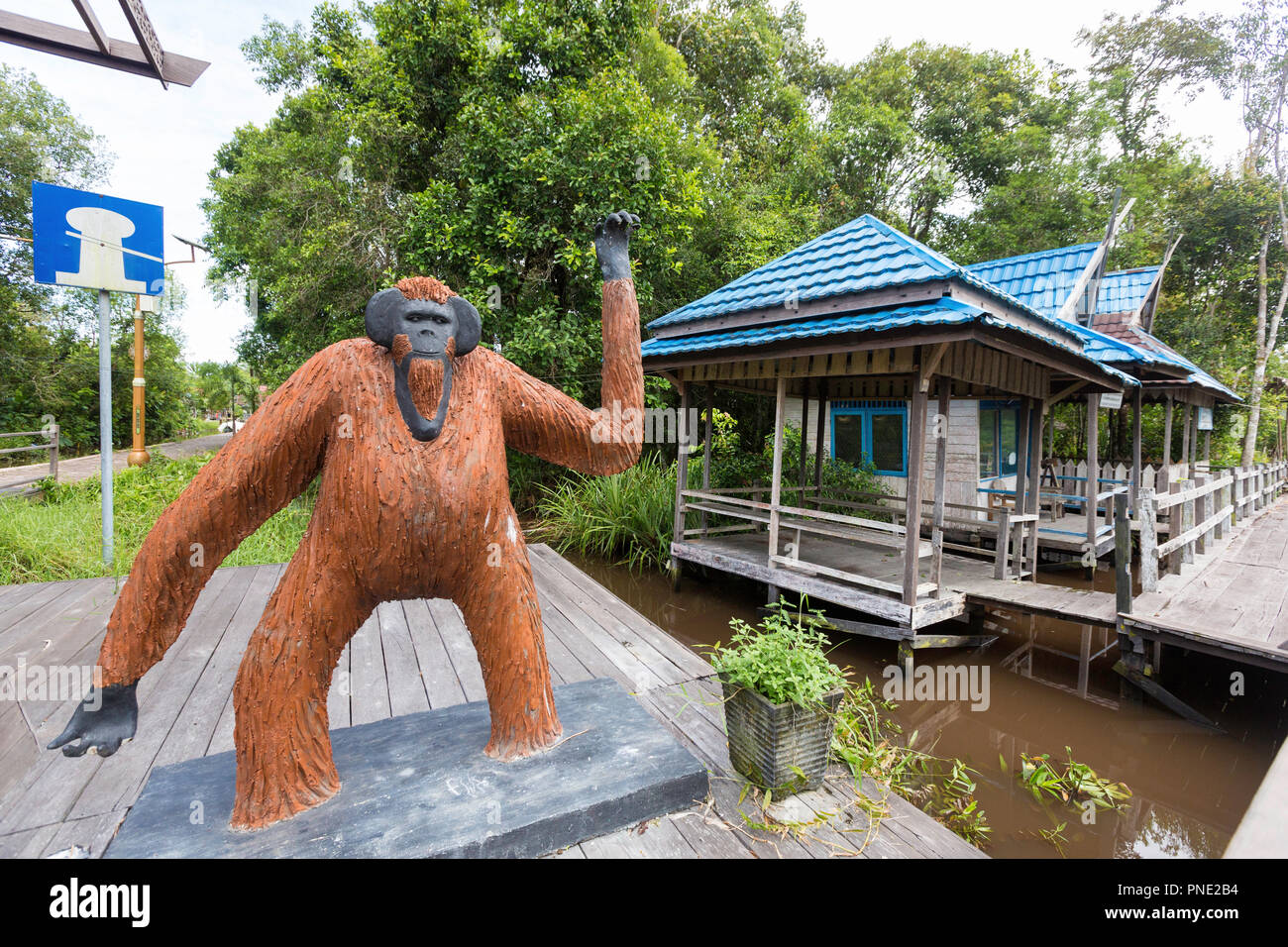 Statua Orangutan sul fiume Sekonyer, Tanjung messa National Park, Borneo, Indonesia. Foto Stock