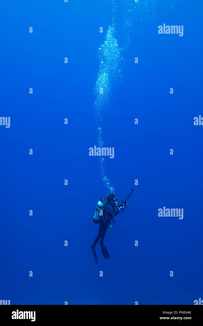 Un subacqueo godendo floating sentimento . Isola di Yap Gli Stati Federati di Micronesia Foto Stock