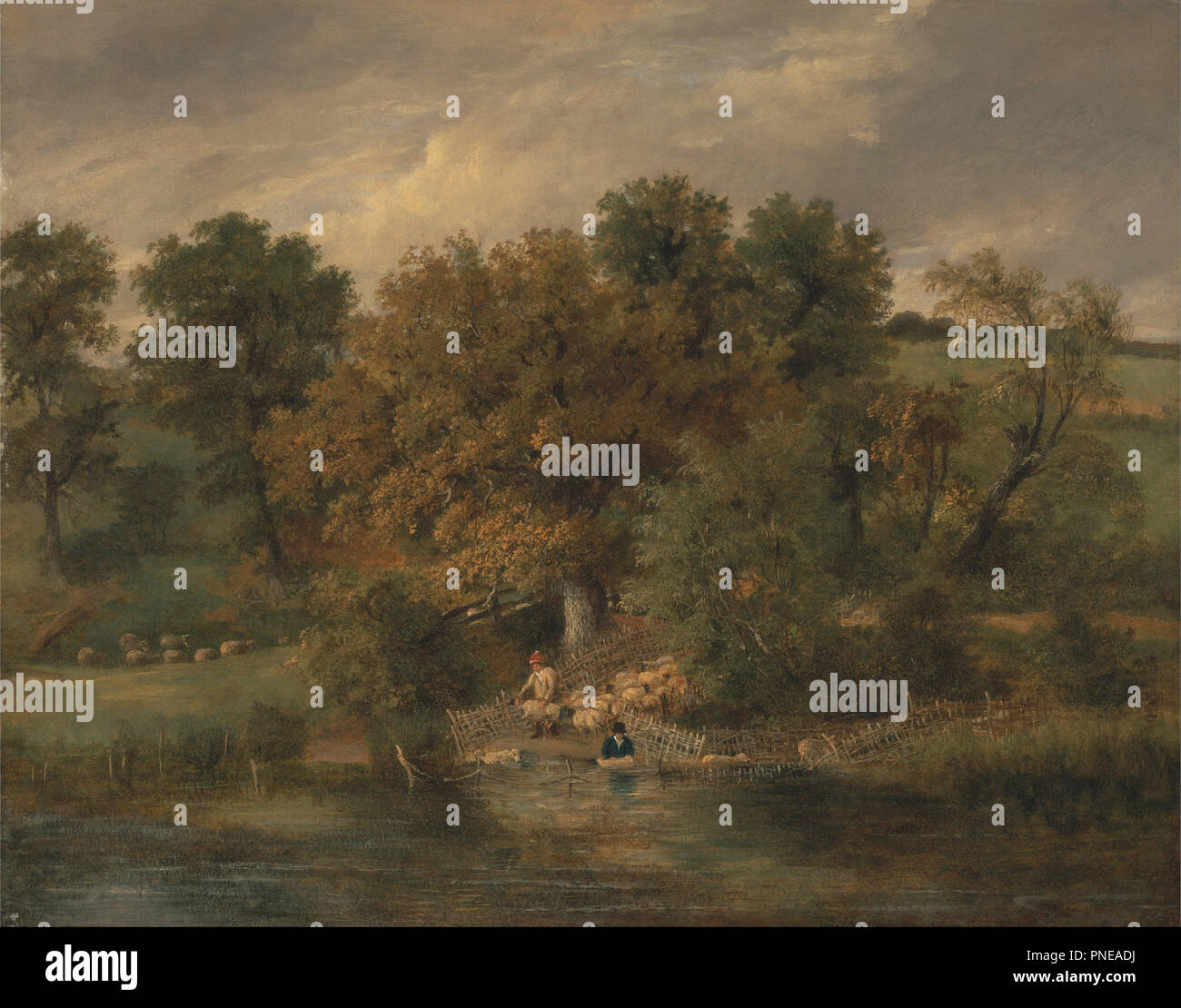 Pecore lavaggio a Postwick Grove, Norwich. Data/Periodo: ca. 1822. La pittura. Olio su pannello. Altezza: 43,2 cm (17 in); Larghezza: 53,3 cm (20,9 in). Autore: James Stark. Foto Stock