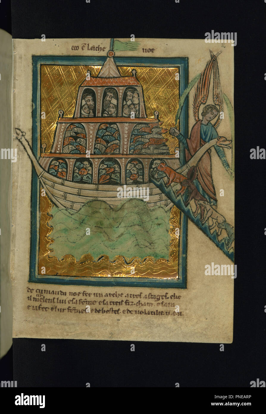 Gli animali immettere l'Arca di Noè (Genesi 6:13-7:16). Data/Periodo: ca. 1250 (medievale). Manoscritti miniati; folio (foglie). E inchiostro di pigmento sulla Pergamena e inchiostro di pigmento su pergamena. Altezza: 13,20 mm (0,51 in); larghezza: 9,50 mm (0,37 in). Autore: William DE BRAILES. Foto Stock