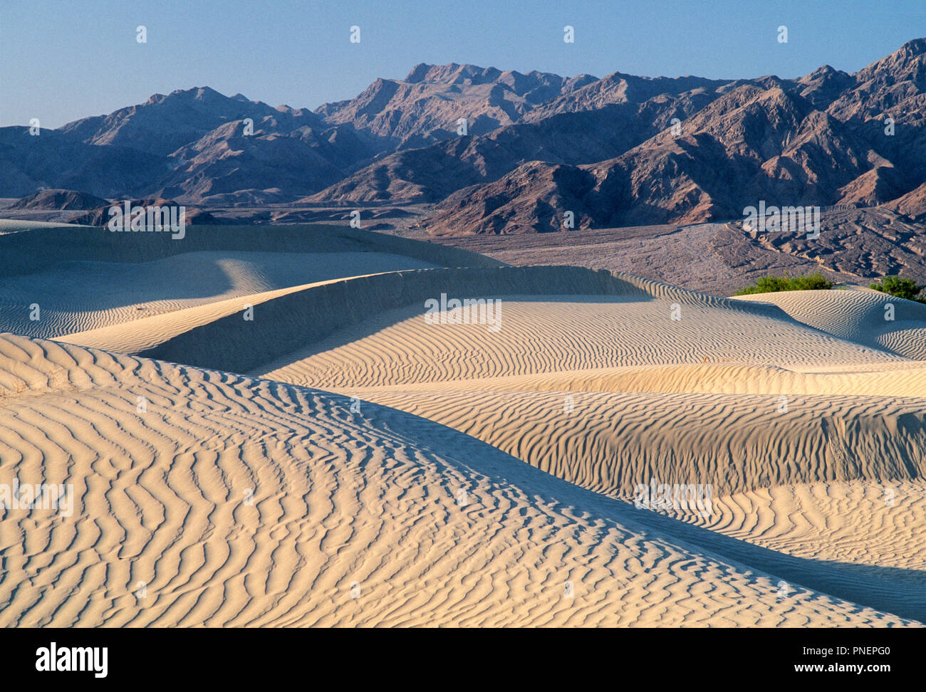 Panamint dune, Panamint montagne in distanza, il Parco Nazionale della Valle della Morte, California Foto Stock