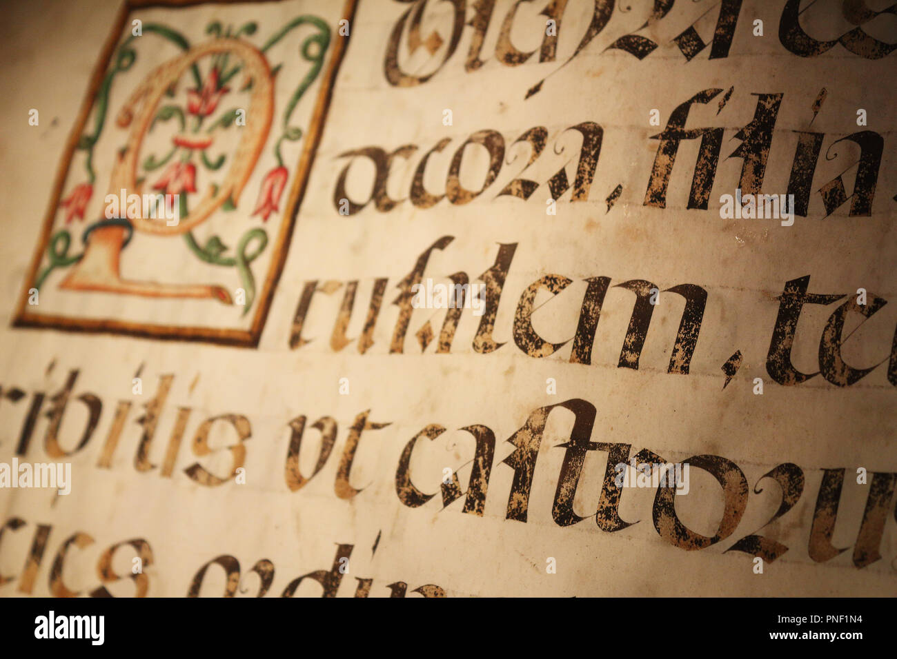 Una vista ravvicinata di un vecchio libro foglio di pergamena con alcuni blackletter scritti in latino e una miniatura colorata Foto Stock