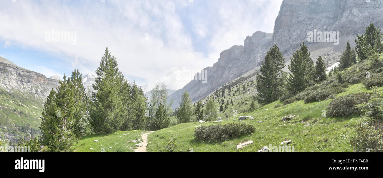 Un paesaggio di un sentiero in alta montagna, pini e abeti di foresta e un profondo cielo blu con alcune nuvole in Ordesa Valley, Spagna Foto Stock