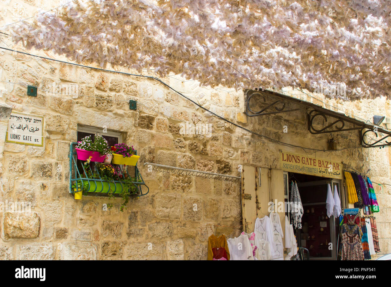 10 maggio 2018 un piccolo negozio porta sotto un grande feathery baldacchino del sole sospeso al di là della strada nella città vecchia di Lions Gate Street a Gerusalemme, Israele. Foto Stock