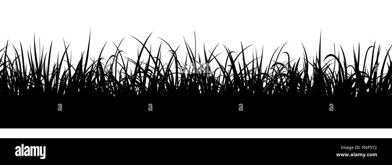 Black Grass silhouette, la perfetta illustrazione. Confine di prato, vettore sfondo infinito Illustrazione Vettoriale