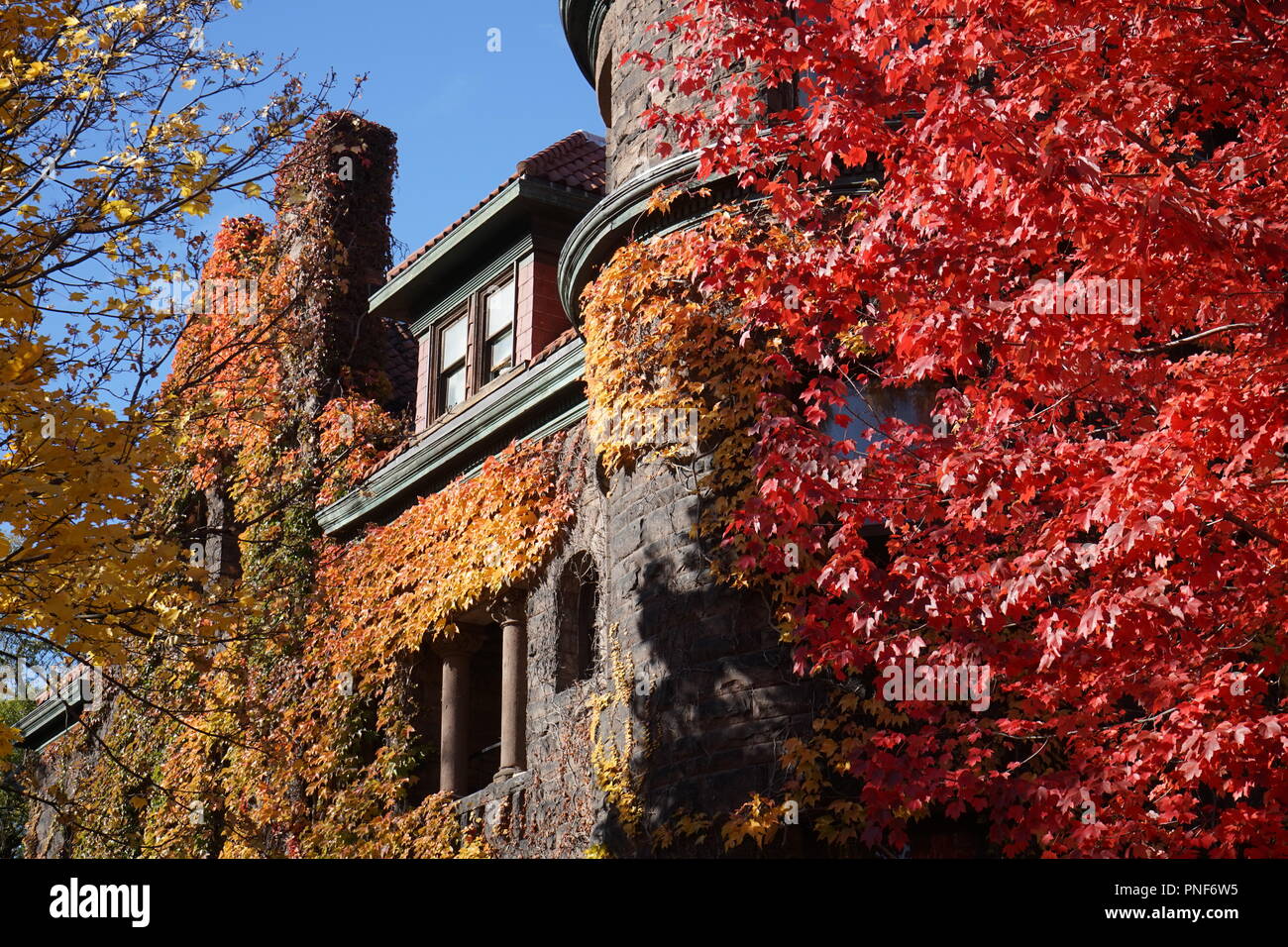 Università di Toronto con i colori dell'autunno Foto Stock