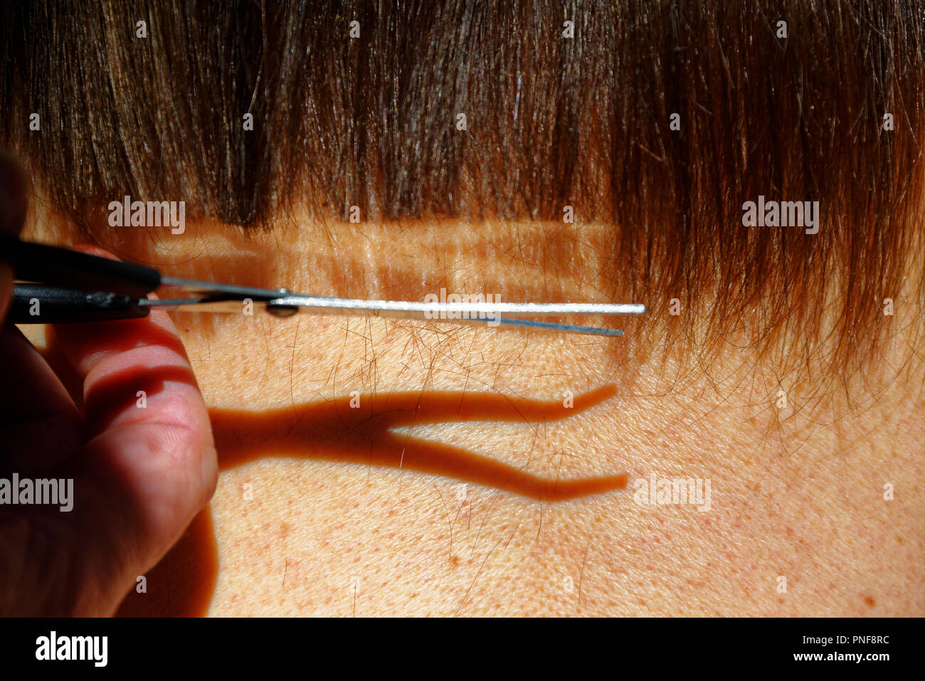 Un taglio di capelli che mostra le forbici con la loro riflessione brilla nei capelli e l'ombra della forbice sul collo sotto. Foto Stock