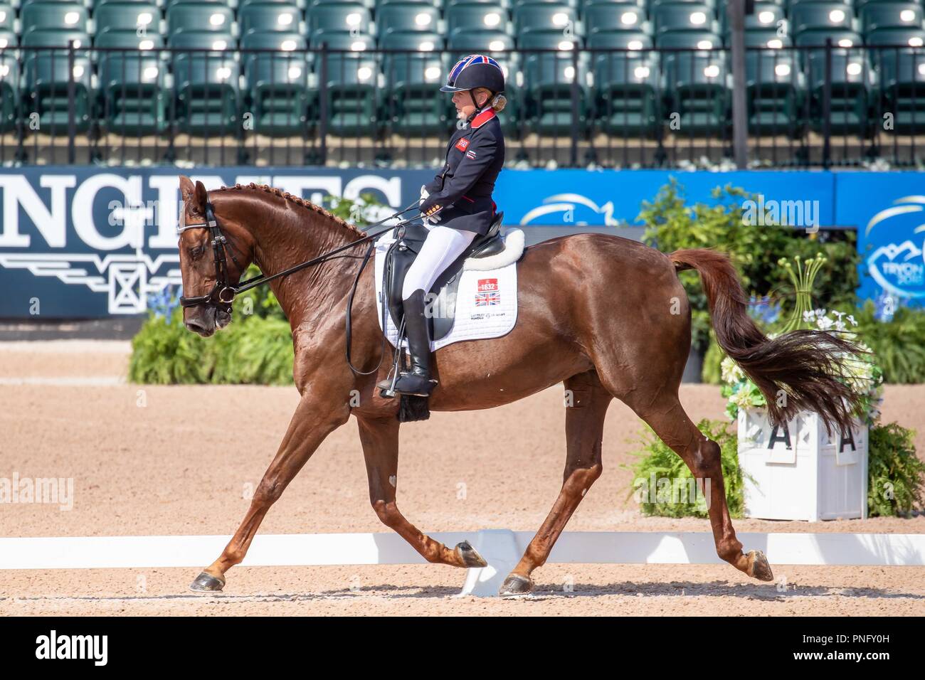 Erin Frances Orford. Dior. GBR.Team Test Grade III Para Dressage.Giorno 10. Giochi equestri mondiali. WEG 2018 Tryon. Carolina del Nord. Stati Uniti d'America. 21/09/2018. Foto Stock