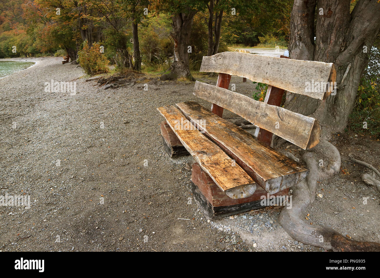 In legno rustico realizzato da banco di registri di legno sulla riva del lago tra caduta delle foglie in Tierra del Fuego National Park, Patagonia, Argentina Foto Stock