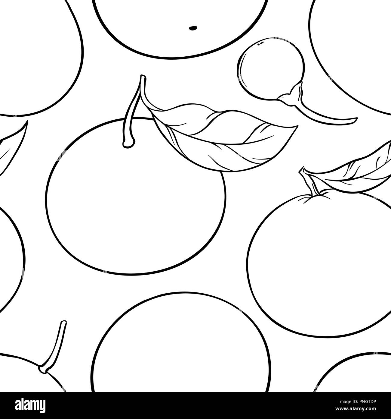 Vettore di mandarino pattern su sfondo bianco Illustrazione Vettoriale