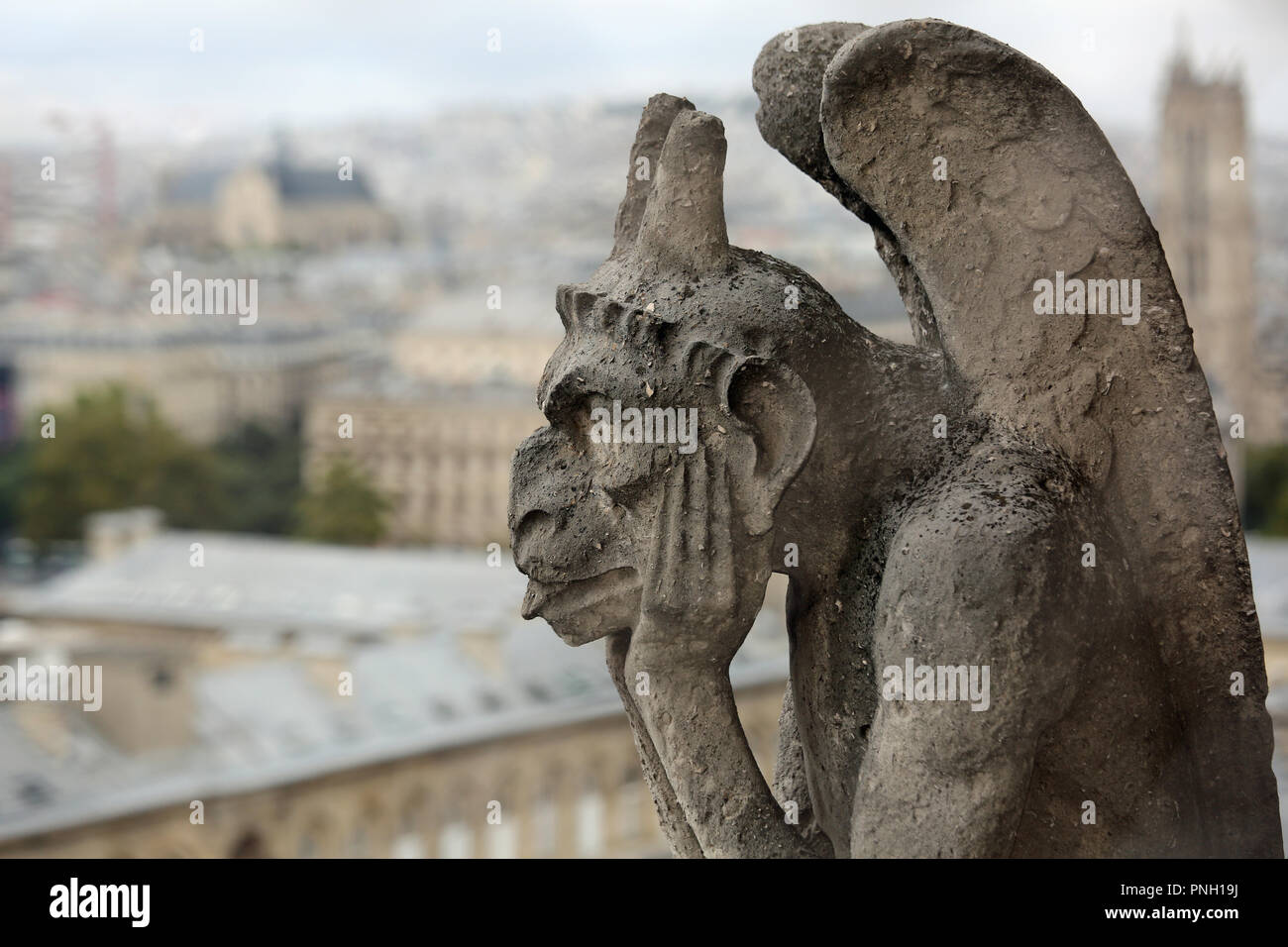 Pensando figura chiamati Chimera o grottesco in Parigi Francia dal campanile della Basilica di Notre Dame Foto Stock