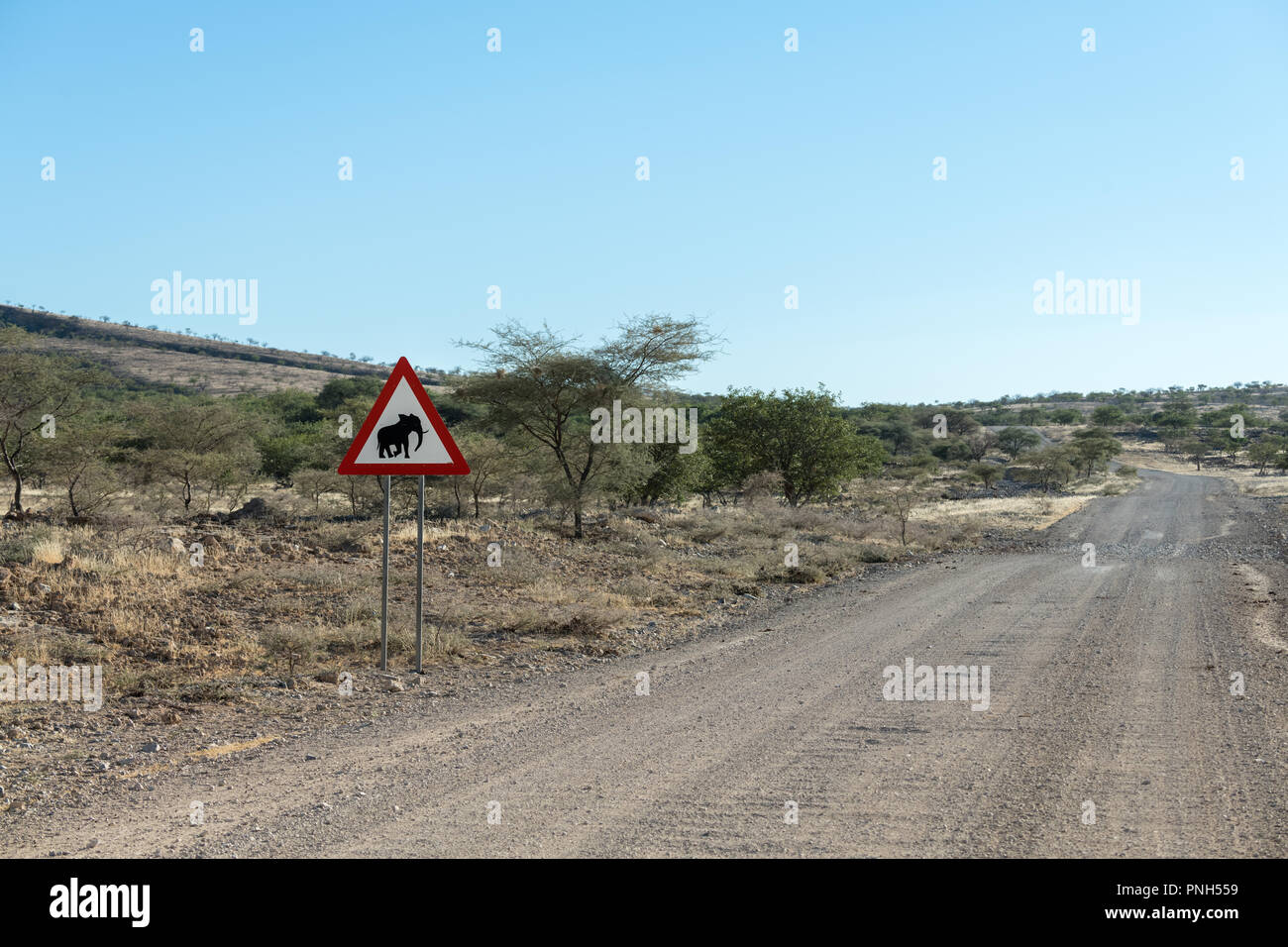 Attraversamento di elefante cartello stradale, Namibia Foto Stock
