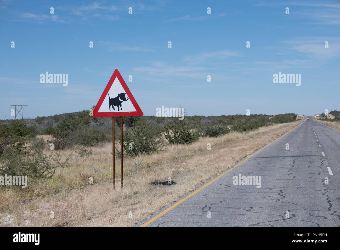 Warthog cartello stradale, Namibia Africa Foto Stock