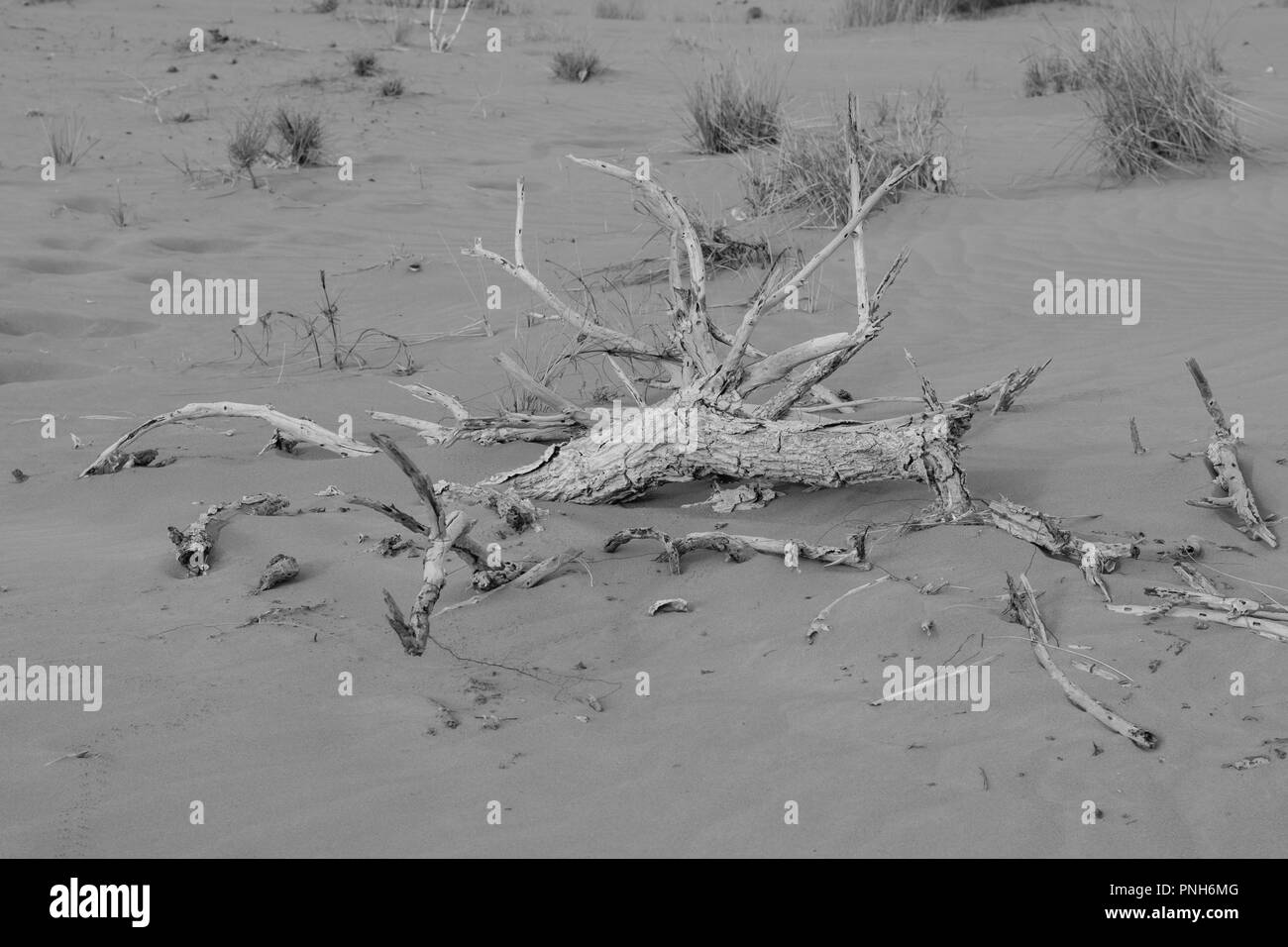 Una passeggiata tra le fasi per la spiaggia e il mare Foto Stock