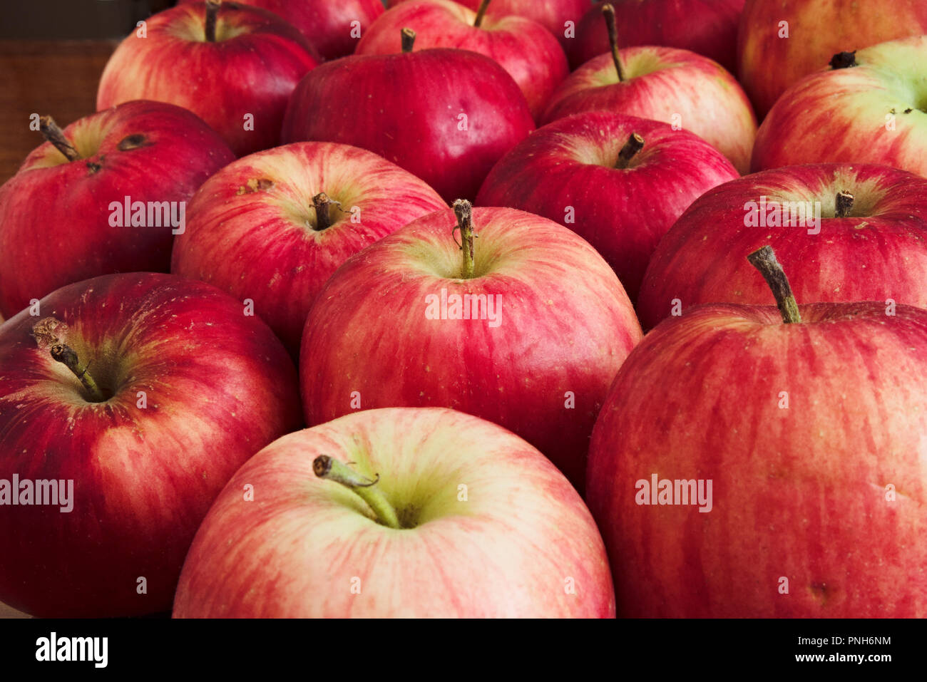 Organici di mele rosse raccolte insieme sulla tavola, in ambienti interni in condizioni di luce diurna Foto Stock