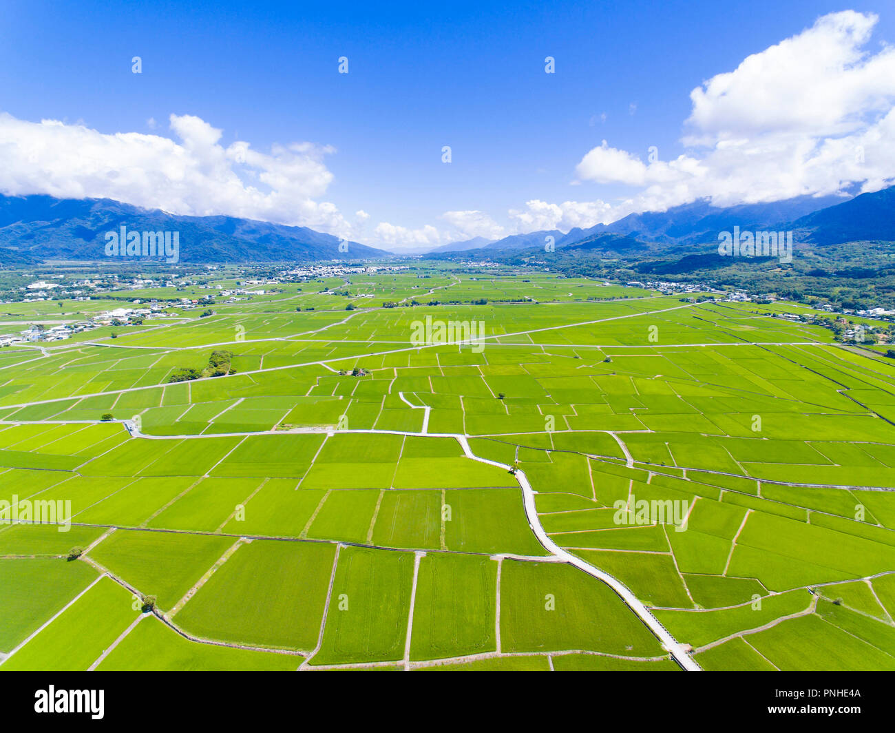 Vista aerea del campo di riso valle. Taiwan. Foto Stock