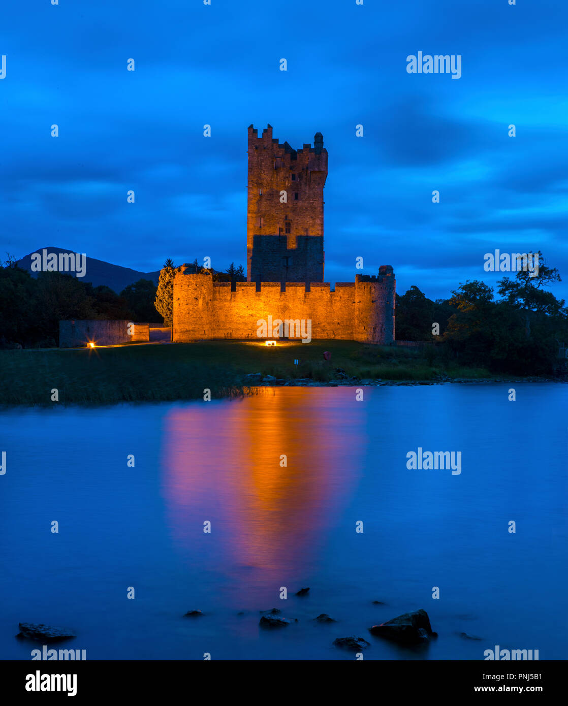 Una vista dello storico Castello di Ross, situato sulle rive del Lough Leane nel Parco Nazionale di Killarney, Repubblica di Irlanda. Foto Stock