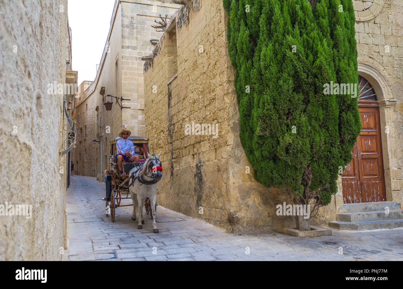 Carrozza a cavalli (karozzin) negoziare gli stretti vicoli di Mdina, Malta. Foto Stock