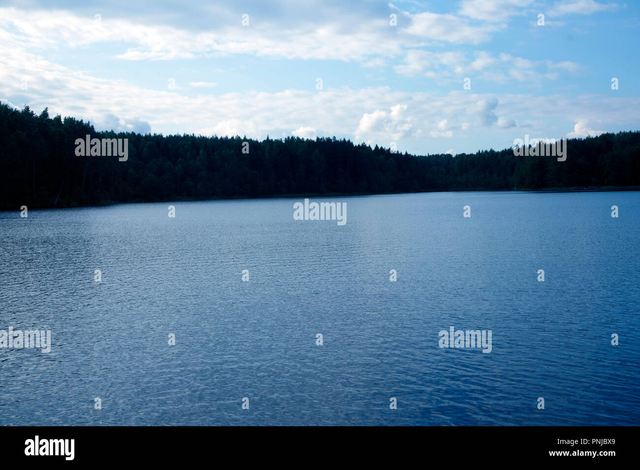 Splendido e tranquillo paesaggio con piccolo lago di foresta e gli alberi sulla riva Foto Stock