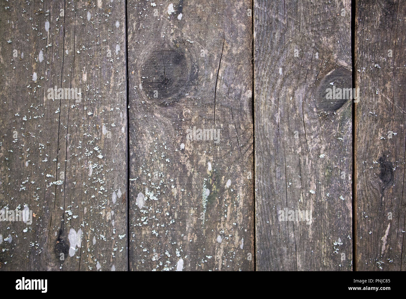 Vecchio di legno grigio schede unplaned superficie con nodi e crepe, può essere utilizzato come sfondo Foto Stock