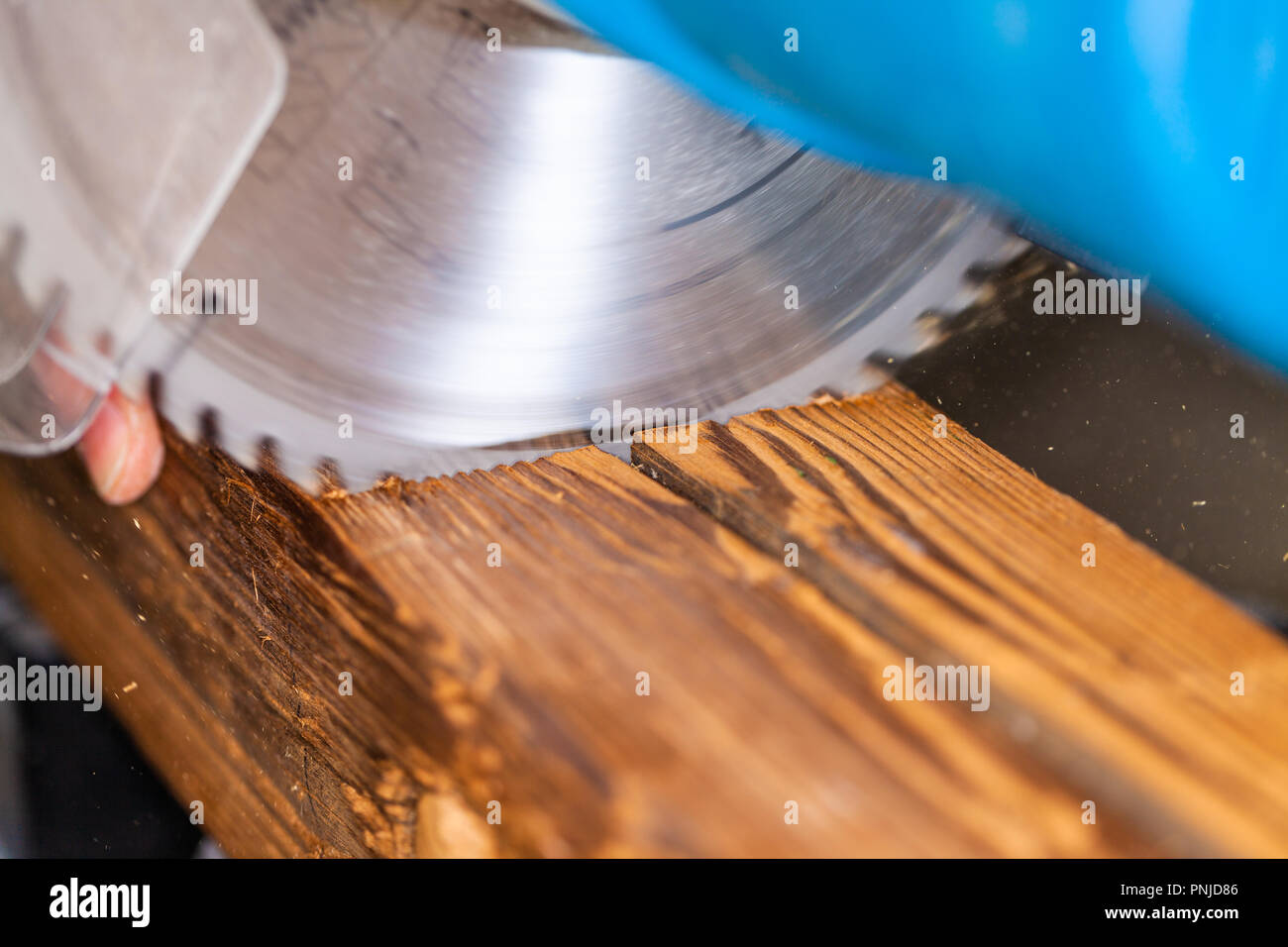 Chiudere da un buzz sezionature un legno Foto Stock