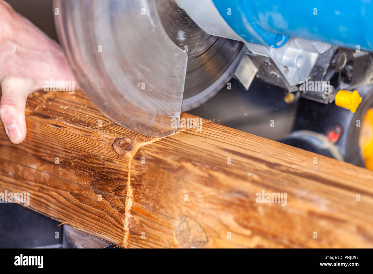 Chiudere da un buzz sezionature un legno Foto Stock