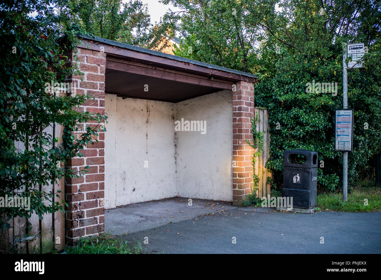 Queste sono immagini intorno a North Yorkshire da york,leeming bar e Lincoln Foto Stock