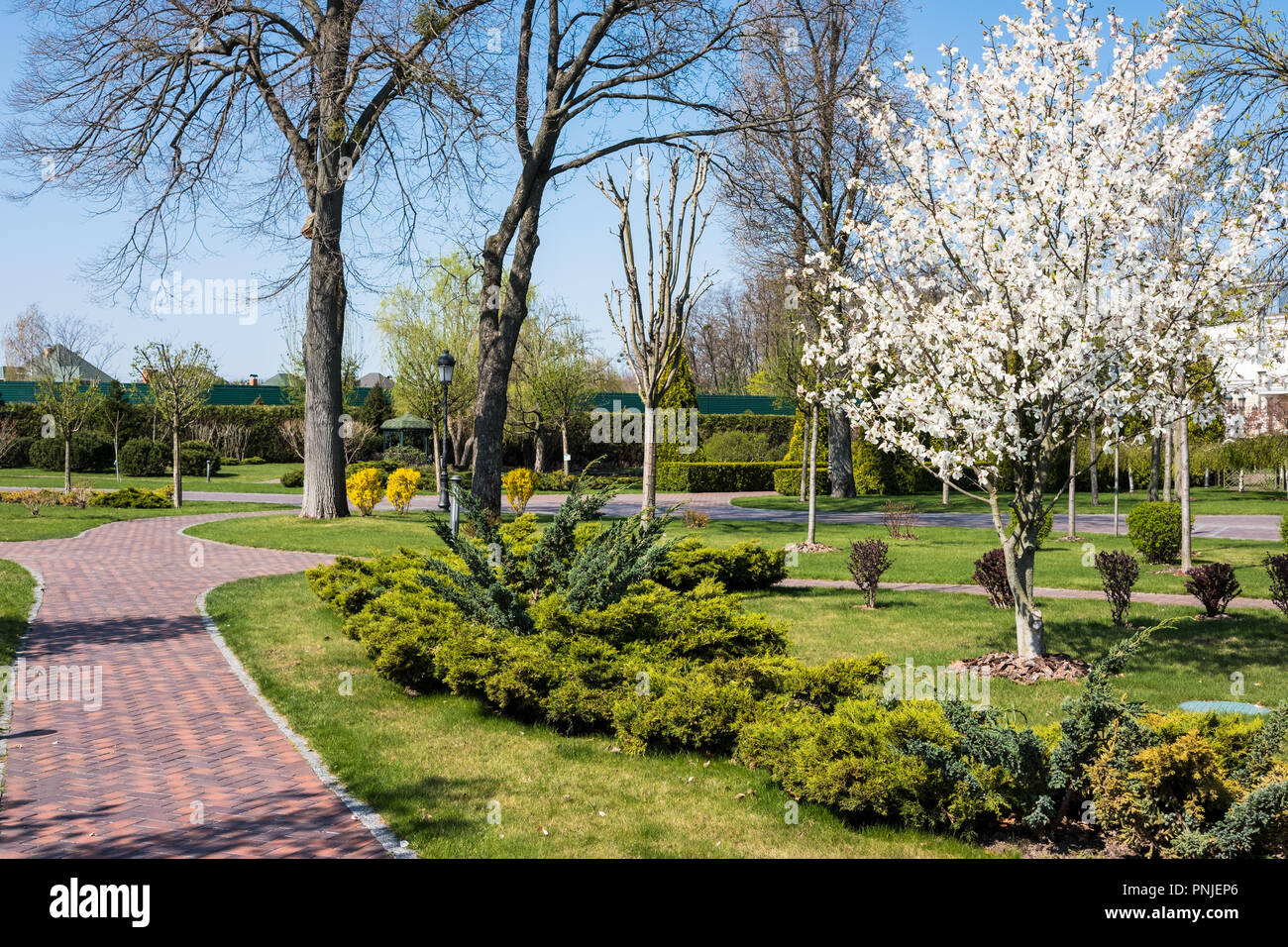 Molla verde soleggiata città park con il trasporto su strada e bellissimi alberi alley Foto Stock