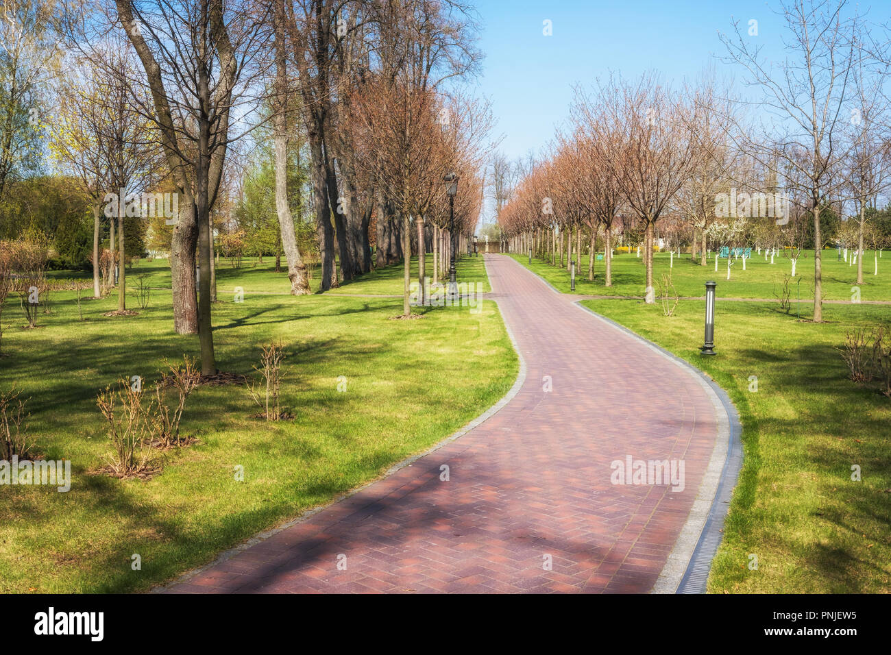 Molla verde soleggiata città park con il trasporto su strada e bellissimi alberi alley Foto Stock