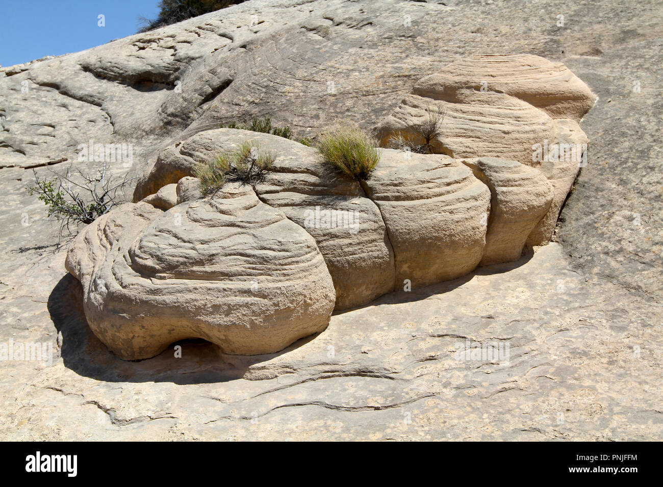 Erosione delle rocce di arenaria in forme a cuscino Foto Stock