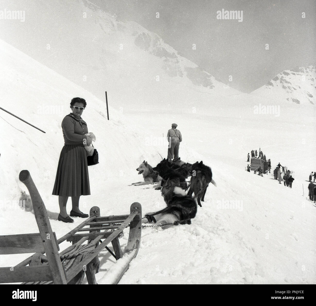 Degli anni Cinquanta, storico, lady watche turistiche come cani husky tirare una slitta di legno fino alle pendici presso il comprensorio di sci alpino di Arosa, Switzerland. Foto Stock