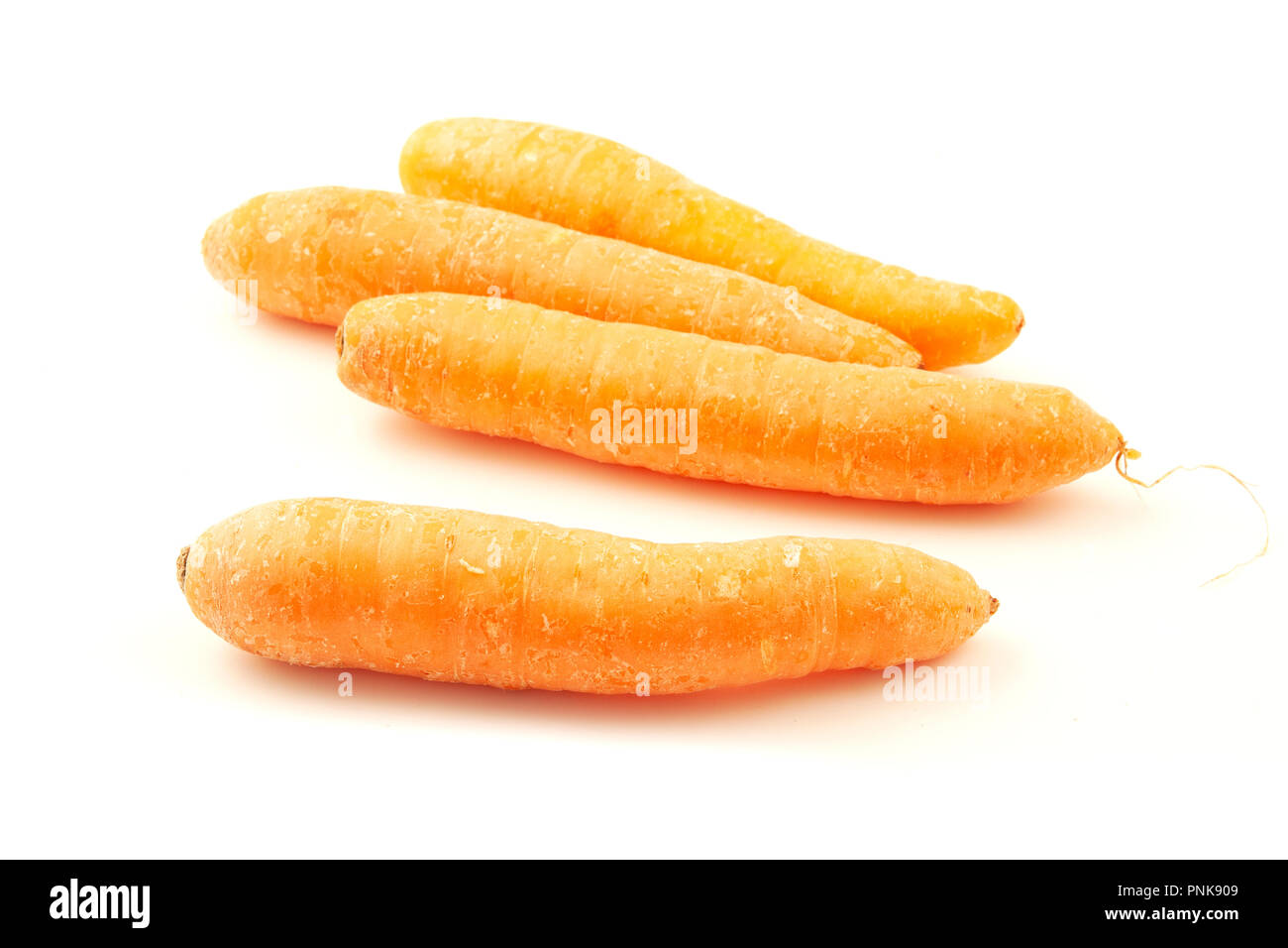 Le carote di colore arancione su sfondo bianco Foto Stock