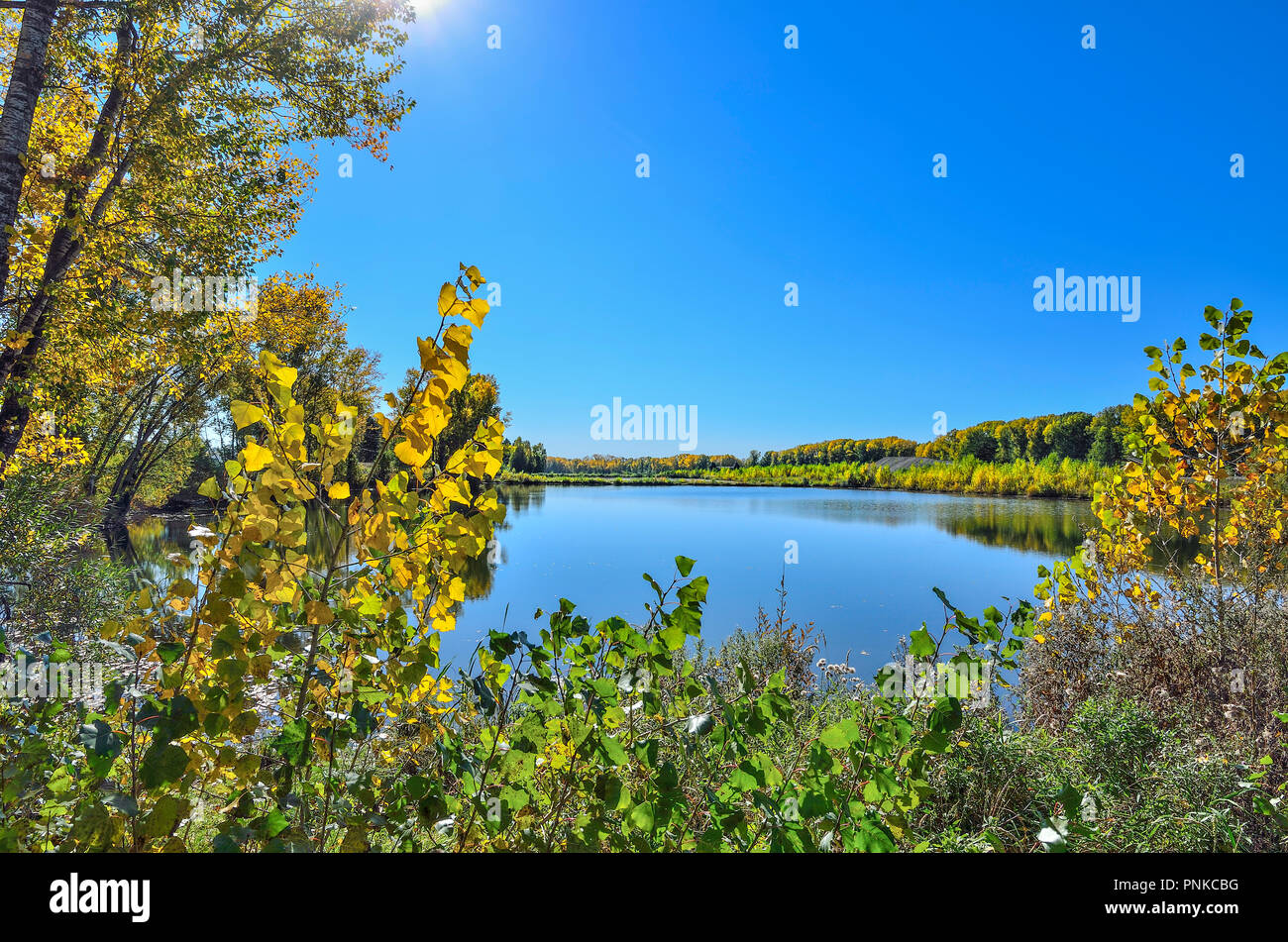 Caldo e soleggiato settembre paesaggio sulla riva del lago. Cielo blu e golden fogliame degli alberi si riflette nella superficie di acqua - La bellezza di autunno Foto Stock