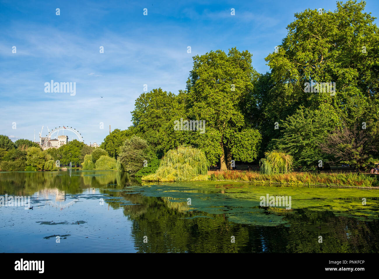 Vista di St James Park a Londra con il London Eye in background su un bel pomeriggio di estate Foto Stock