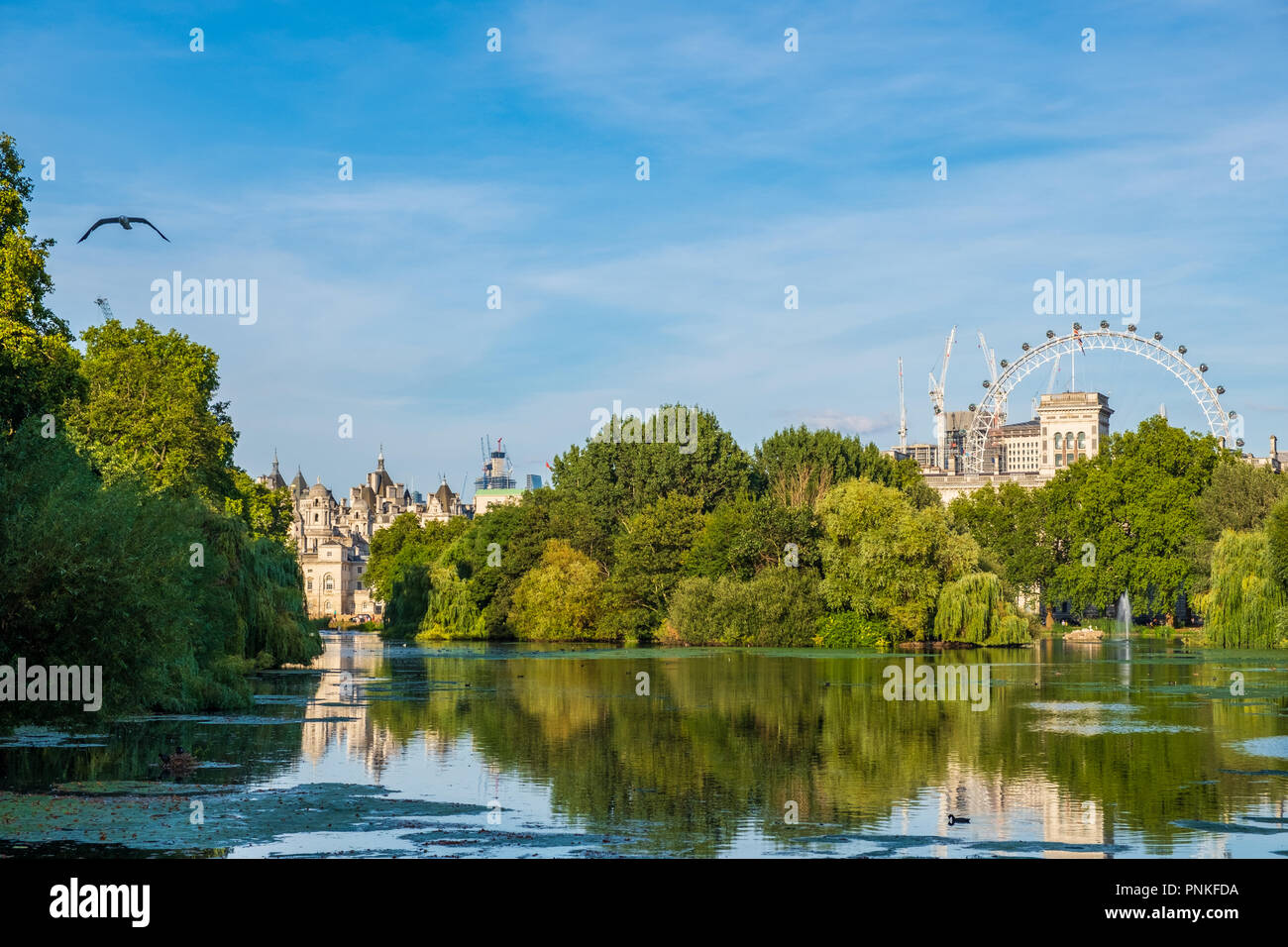 St James Park a Londra con il London Eye in background su un bel pomeriggio di estate Foto Stock