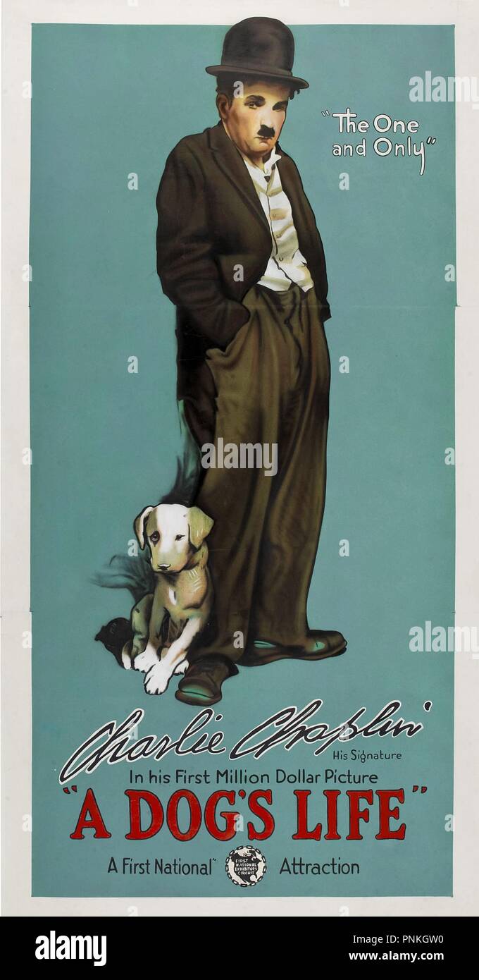 Pellicola originale titolo: un cane la vita. Titolo italiano: un cane la vita. Anno: 1918. Direttore: Charlie Chaplin. Stelle: Charlie Chaplin. Credito: prima nazionale / Album Foto Stock