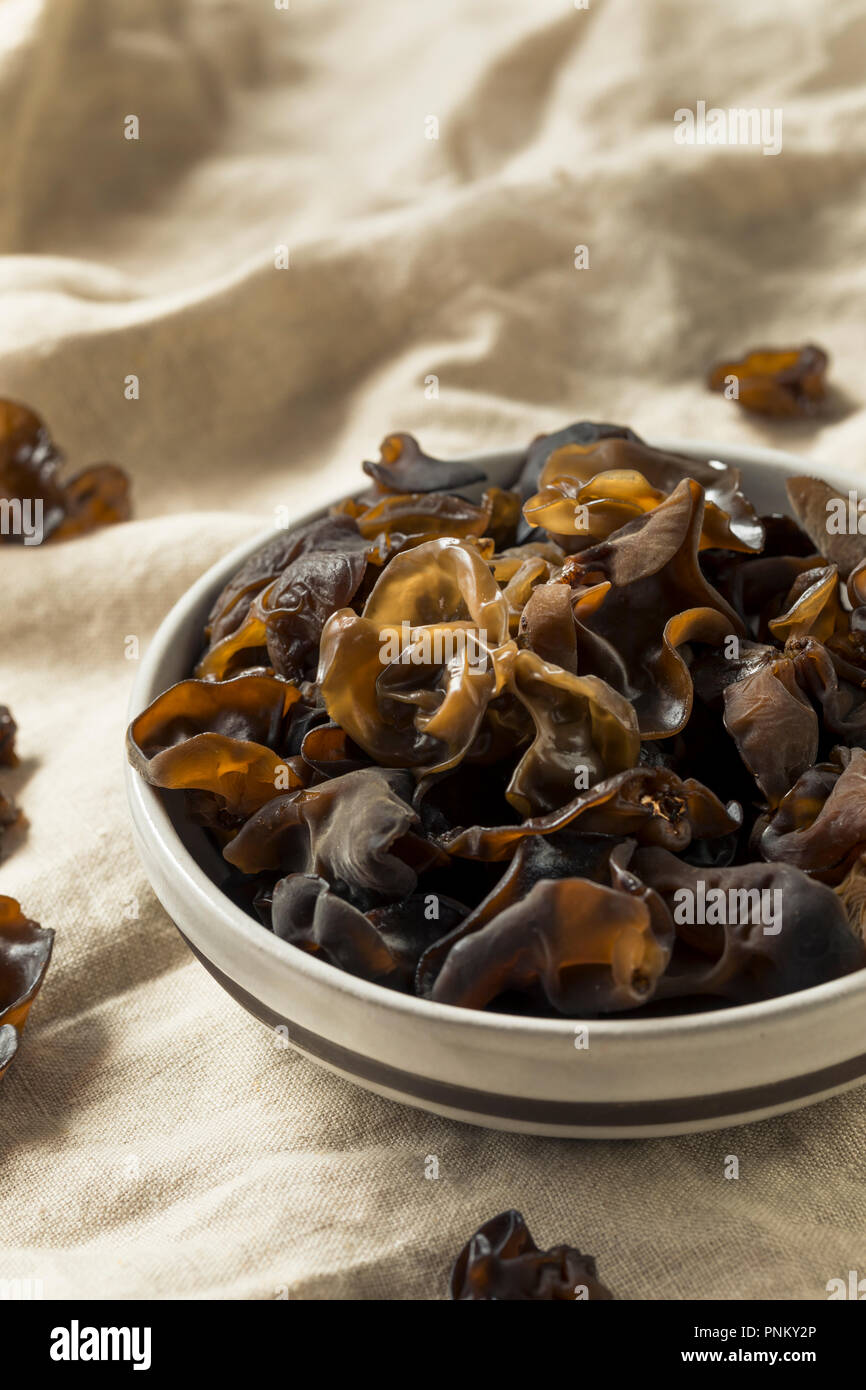 Materie organiche Orecchio di legno i funghi in una ciotola Foto Stock