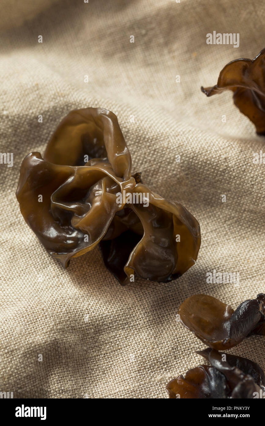 Materie organiche Orecchio di legno i funghi in una ciotola Foto Stock