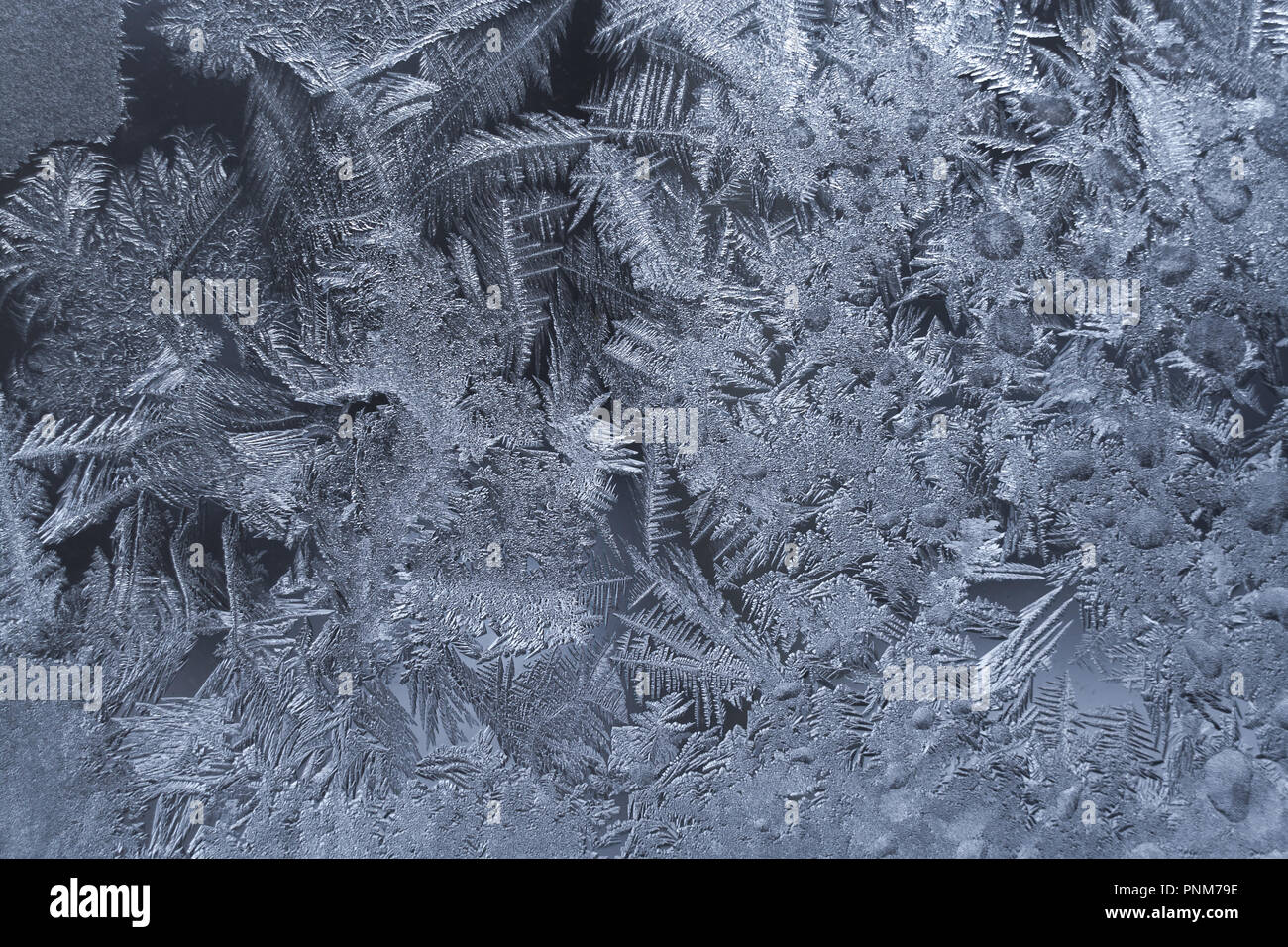Natural riccamente decorate frosty icy modello sulla finestra d'inverno. Congelati texture ghiacciate. Foto Stock