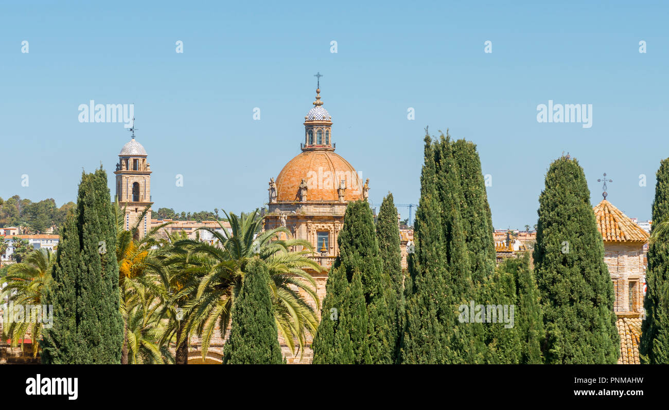 Cupola della Cattedrale di Jerez a Jerez de la Frontera, Cadice, Andalusia, Spagna Foto Stock