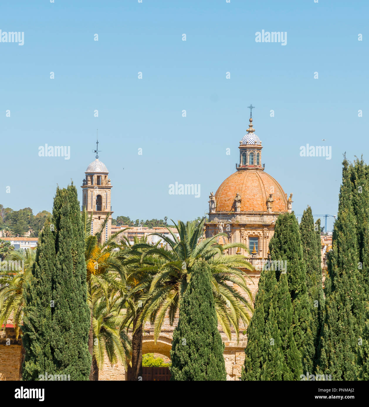 Cupola della Cattedrale di Jerez a Jerez de la Frontera, Cadice provincia, Andalusia, Spagna Foto Stock